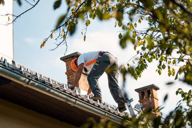 Best Residential Roof Replacement  in Hartford, IL